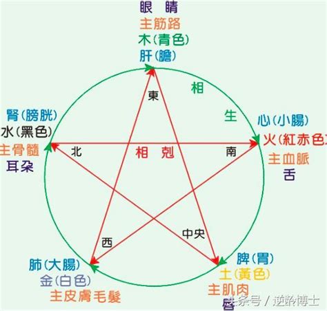 怎麼看屬性|五行屬性解惑秘笈，教你輕鬆辨別你的命理本色